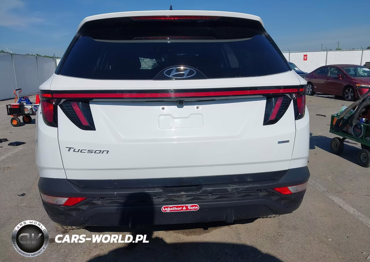 2024 Hyundai Tucson Sel VIN:5NMJBCDE4RH422436 - 16