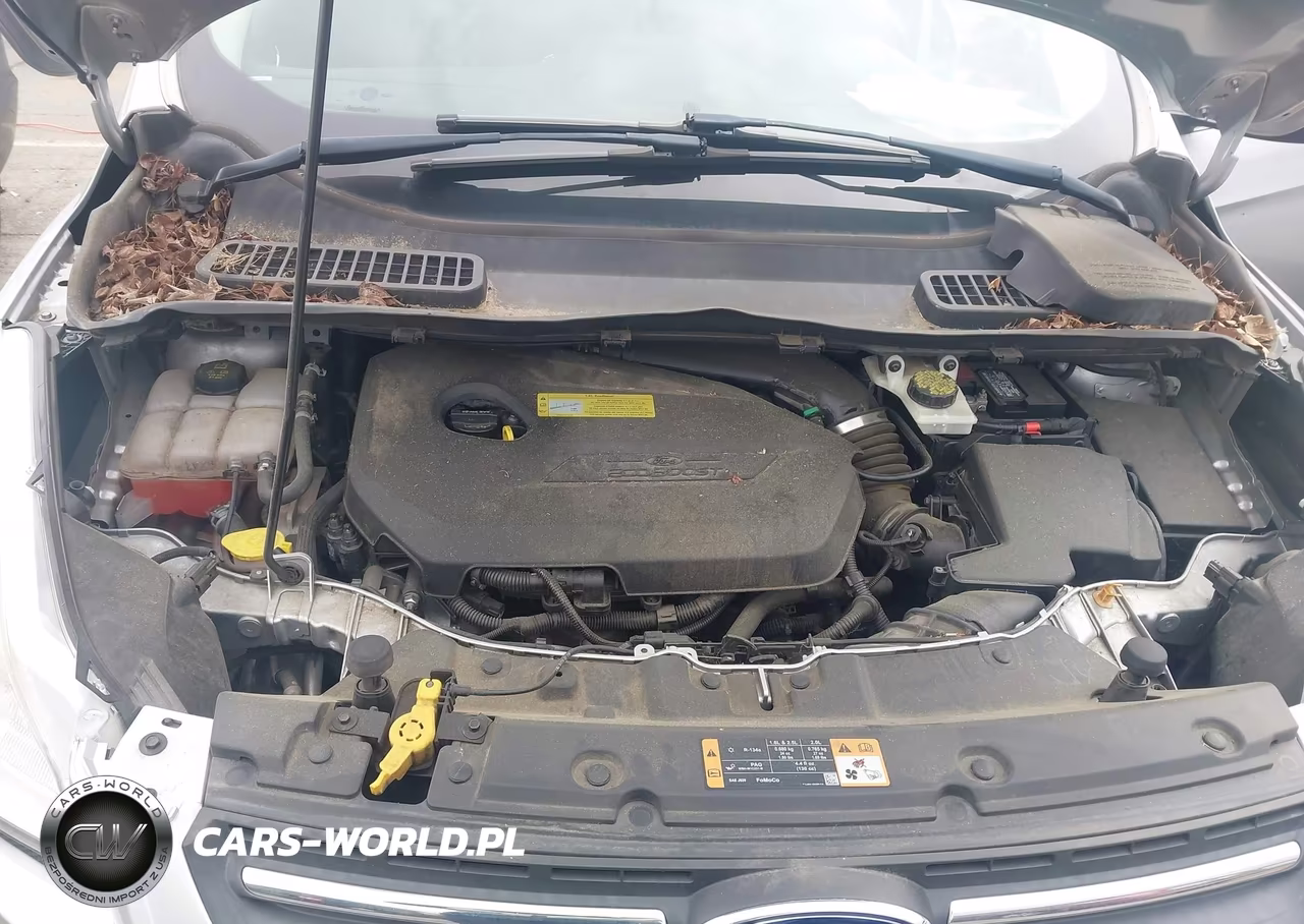 2014 Ford Escape Se VIN:1FMCU0GX1EUA73698 - 10