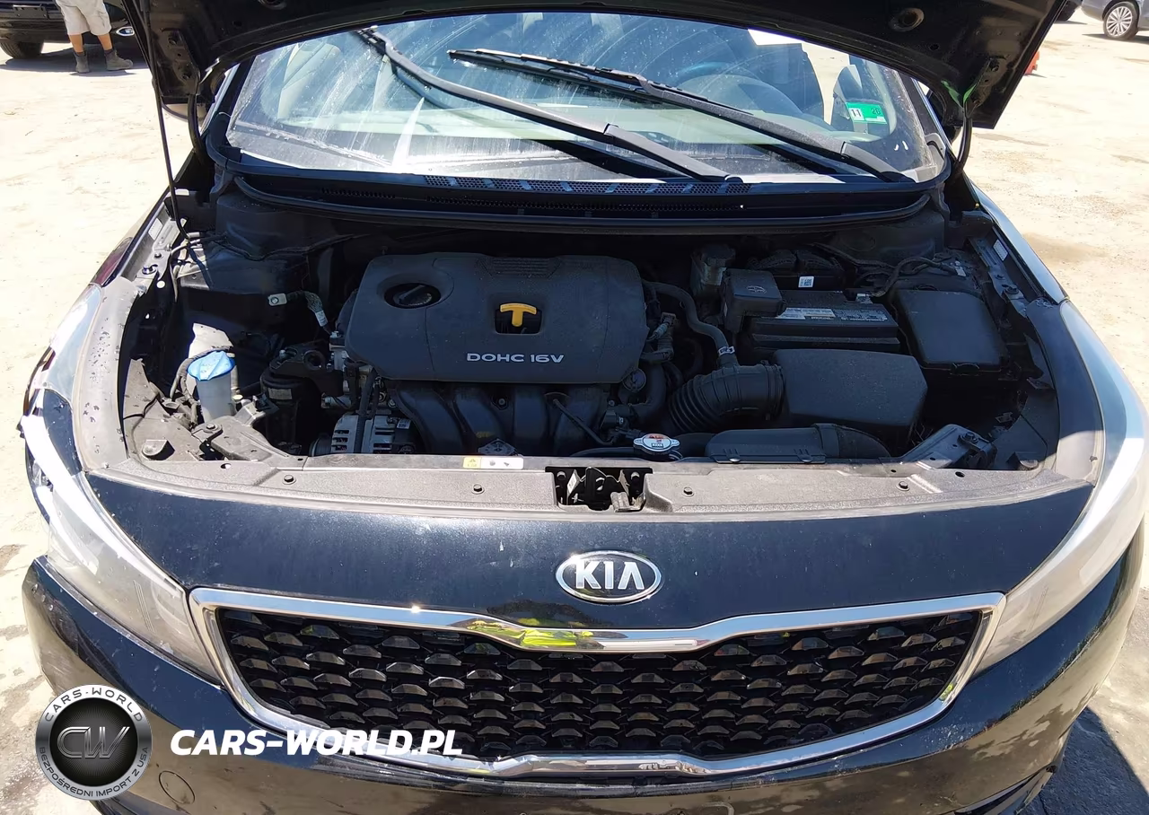 2017 Kia Forte Lx VIN:3KPFL4A7XHE054395 - 10