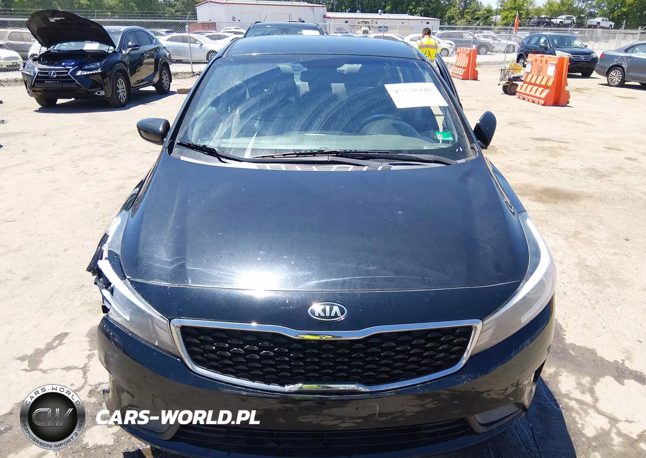 2017 Kia Forte Lx VIN:3KPFL4A7XHE054395 - 12