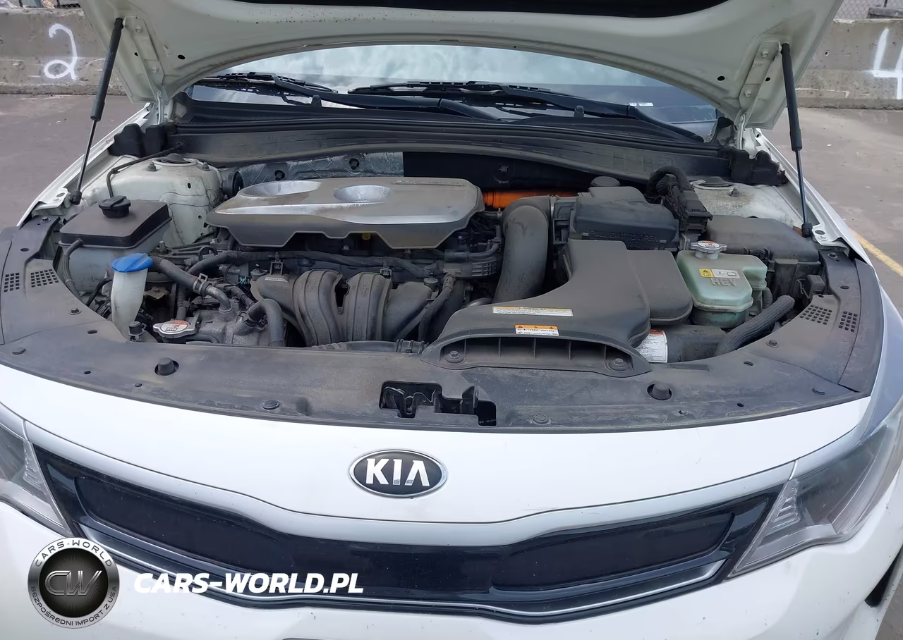 2017 Kia Optima Hybrid Ex VIN:KNAGU4LCXH5004617 - 10