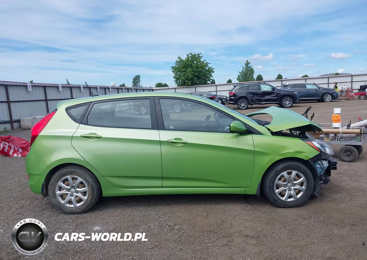 2014 Hyundai Accent Gs VIN:KMHCT5AE8EU183039 - 14
