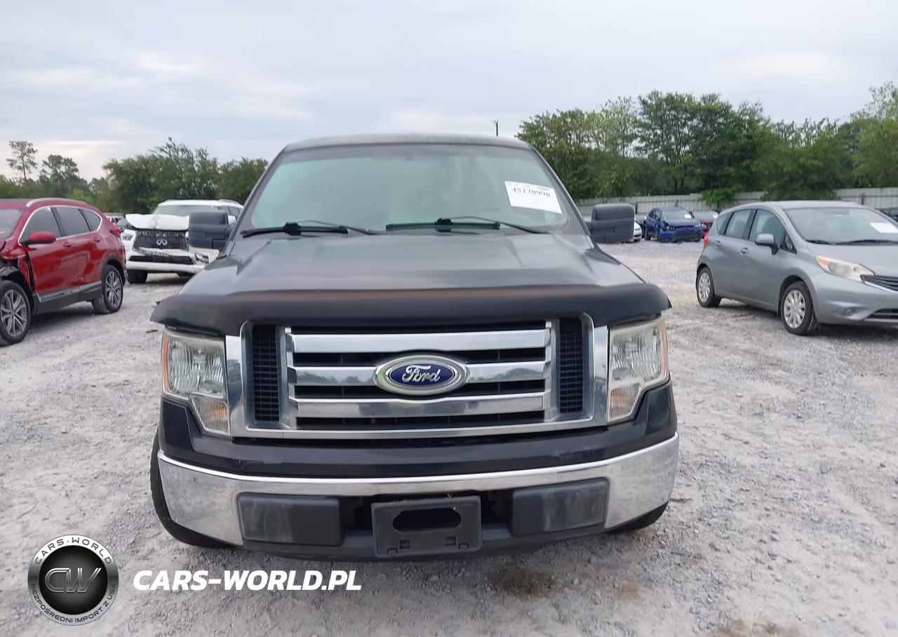 2010 Ford F-150 Fx2 Sport-Stx-Xl-Xlt VIN:1FTEX1C84AKA38605 - 12
