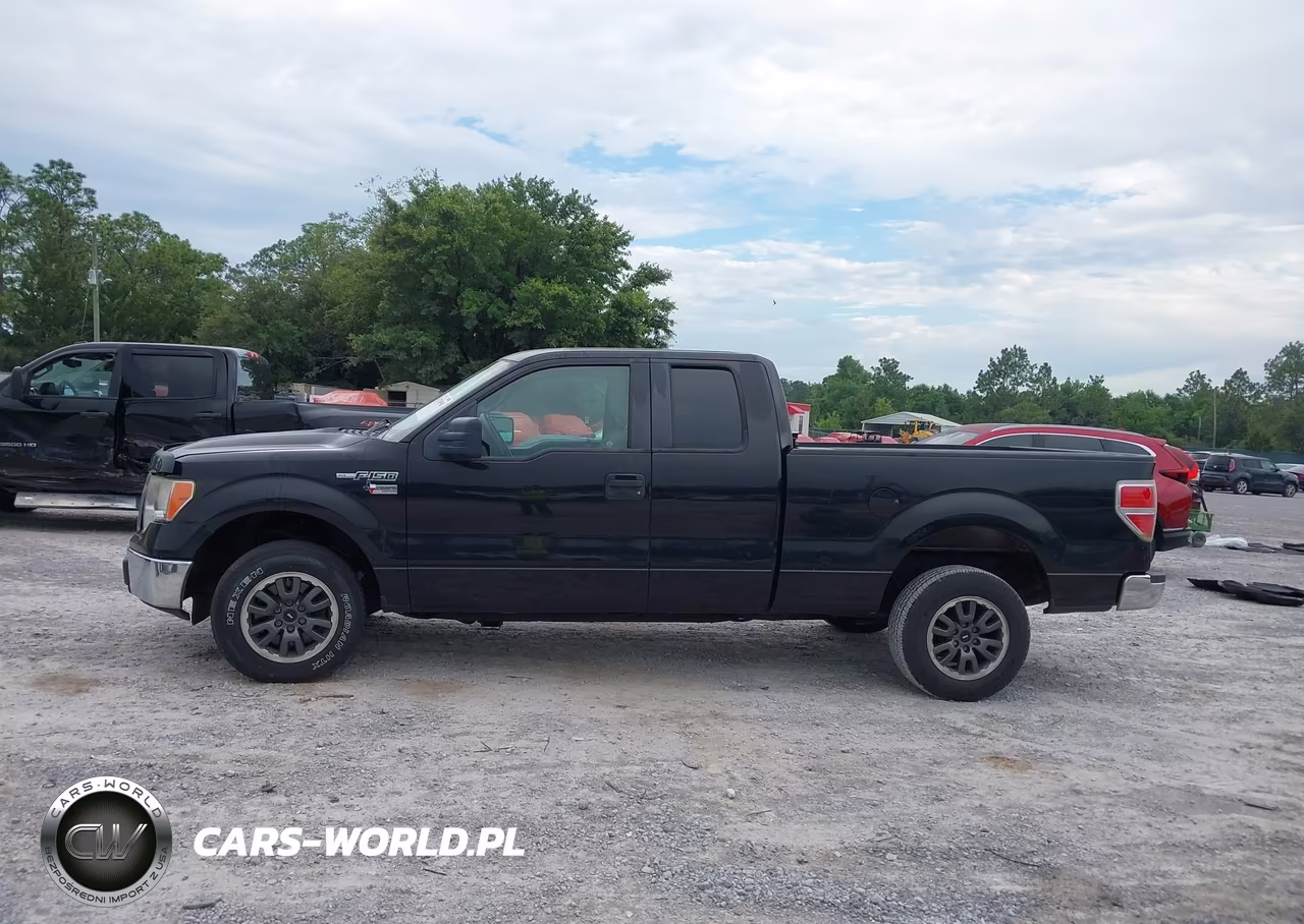 2010 Ford F-150 Fx2 Sport-Stx-Xl-Xlt VIN:1FTEX1C84AKA38605 - 14