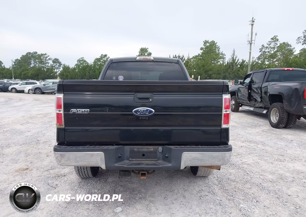 2010 Ford F-150 Fx2 Sport-Stx-Xl-Xlt VIN:1FTEX1C84AKA38605 - 16