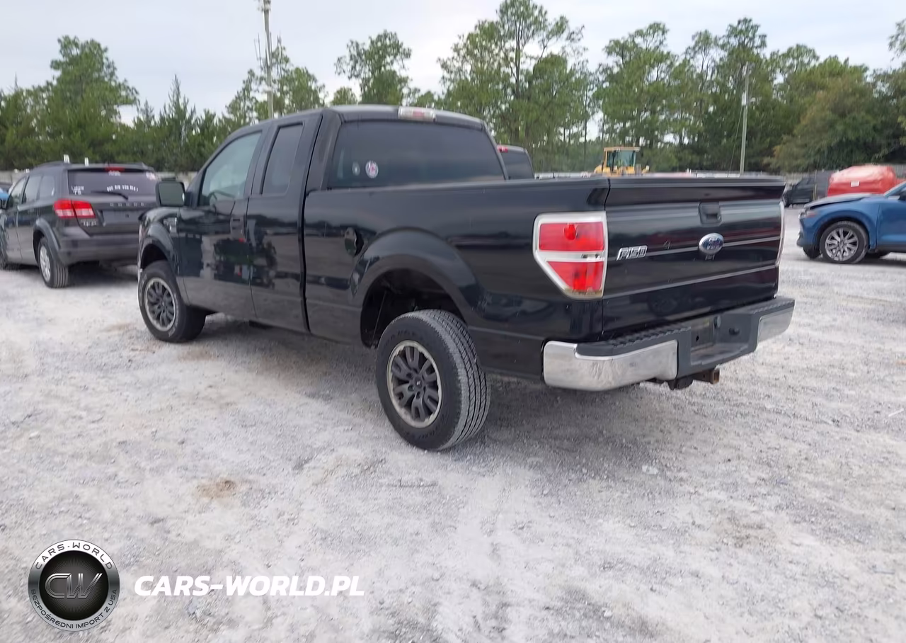 2010 Ford F-150 Fx2 Sport-Stx-Xl-Xlt VIN:1FTEX1C84AKA38605 - 3