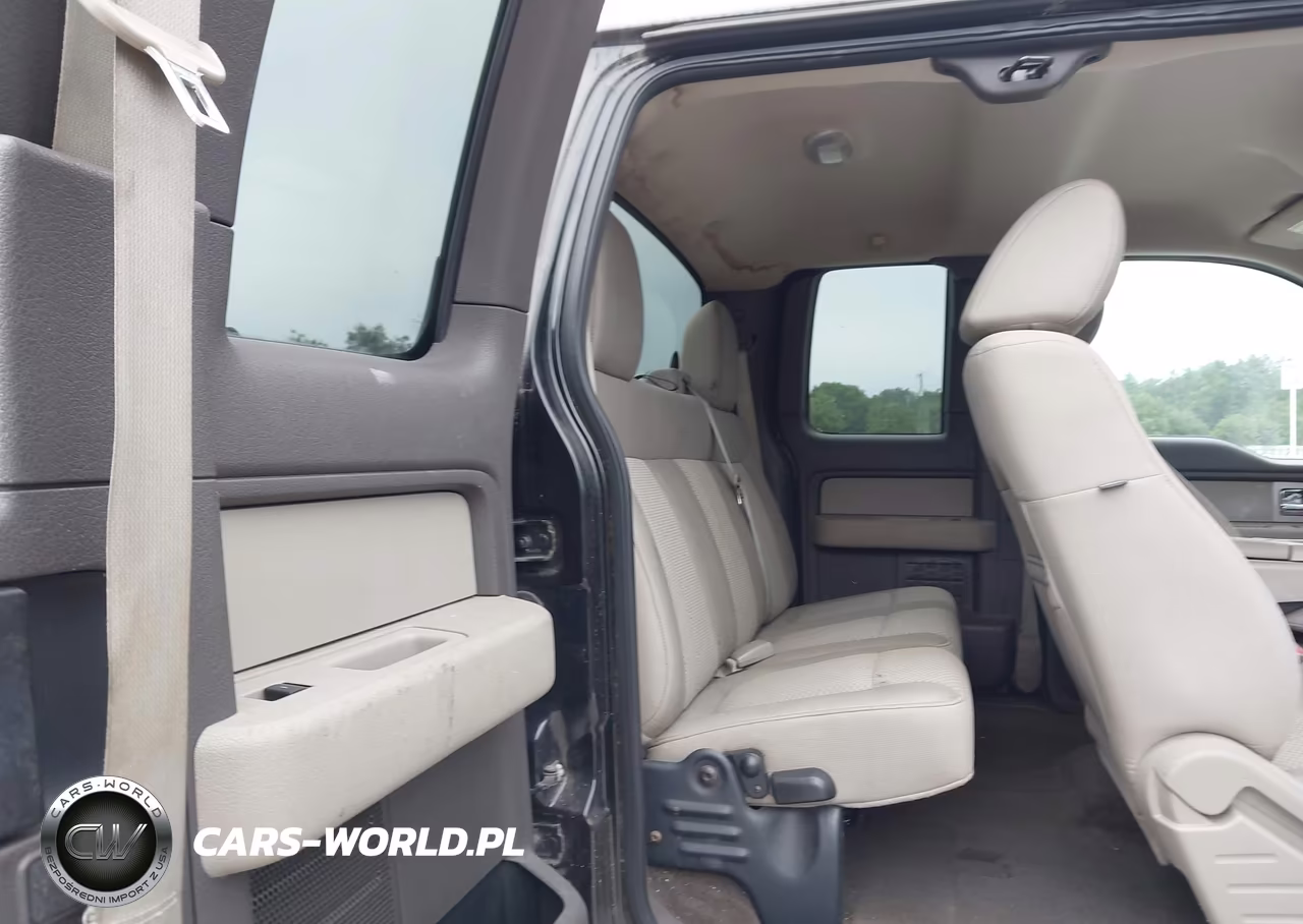 2010 Ford F-150 Fx2 Sport-Stx-Xl-Xlt VIN:1FTEX1C84AKA38605 - 8