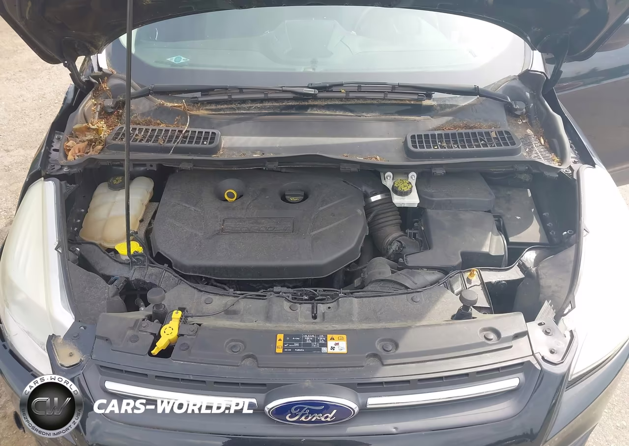 2014 Ford Escape Se VIN:1FMCU9G99EUB20403 - 10