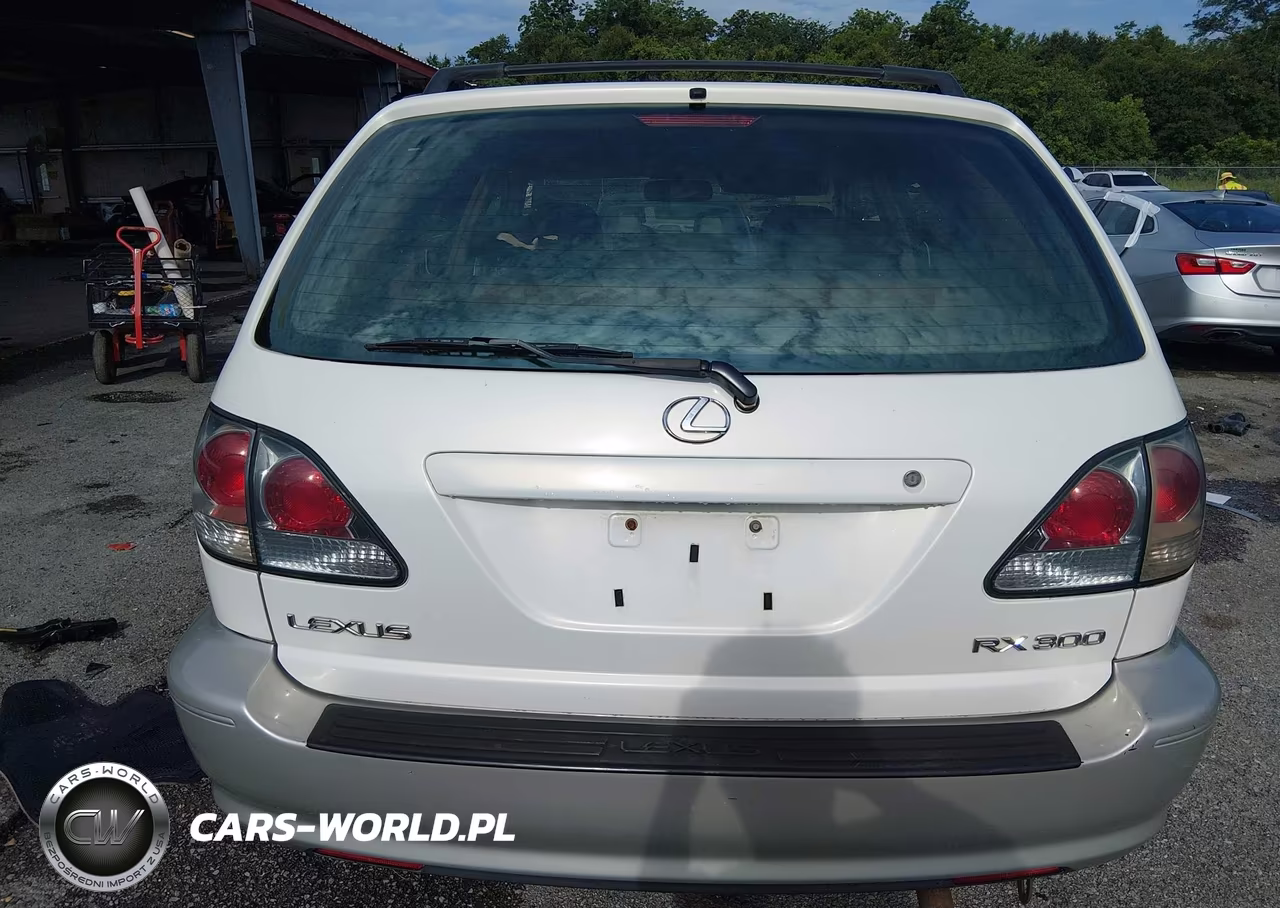 2003 Lexus Rx 300 VIN:JTJGF10UX30159017 - 17