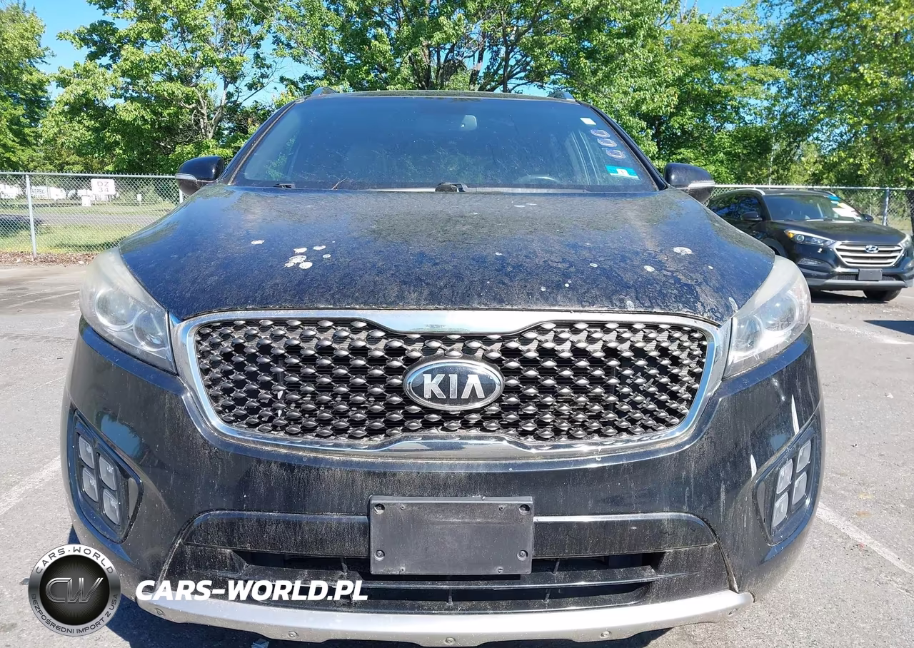 2016 Kia Sorento 3.3L Sxl VIN:5XYPKDA5XGG028497 - 12