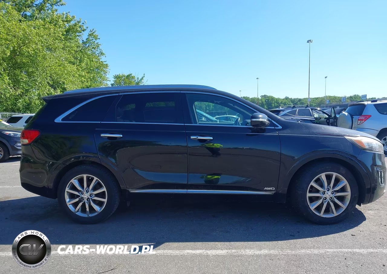 2016 Kia Sorento 3.3L Sxl VIN:5XYPKDA5XGG028497 - 13