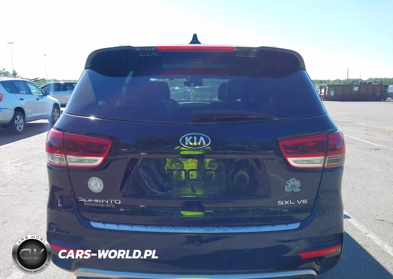 2016 Kia Sorento 3.3L Sxl VIN:5XYPKDA5XGG028497 - 16