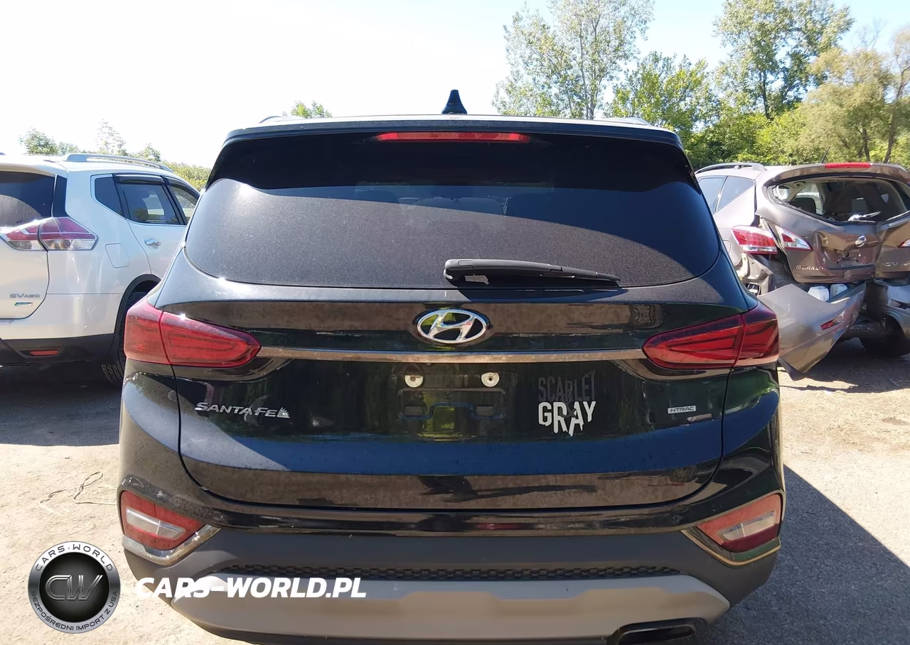 2019 Hyundai Santa Fe Sel VIN:5NMS3CAD4KH134919 - 16