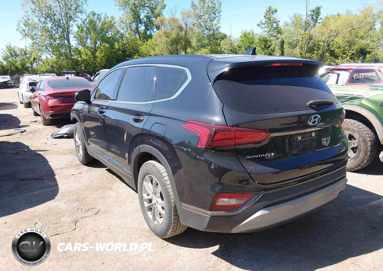 2019 Hyundai Santa Fe Sel VIN:5NMS3CAD4KH134919 - 3