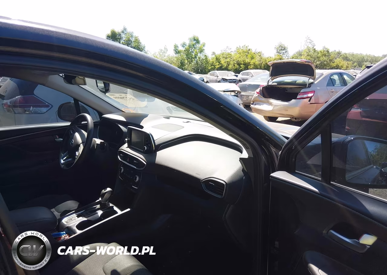2019 Hyundai Santa Fe Sel VIN:5NMS3CAD4KH134919 - 5