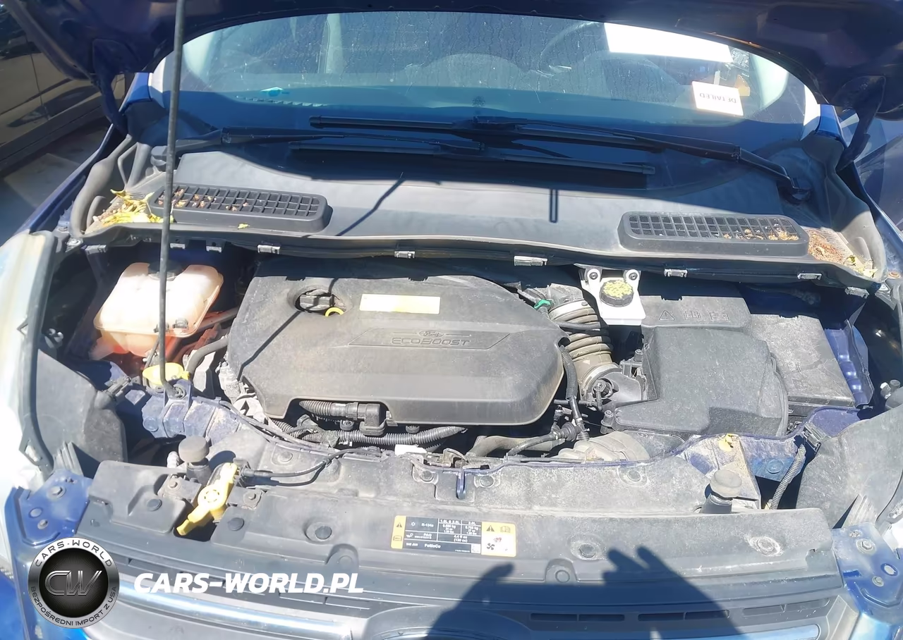 2015 Ford Escape Se VIN:1FMCU9GX1FUC75964 - 10