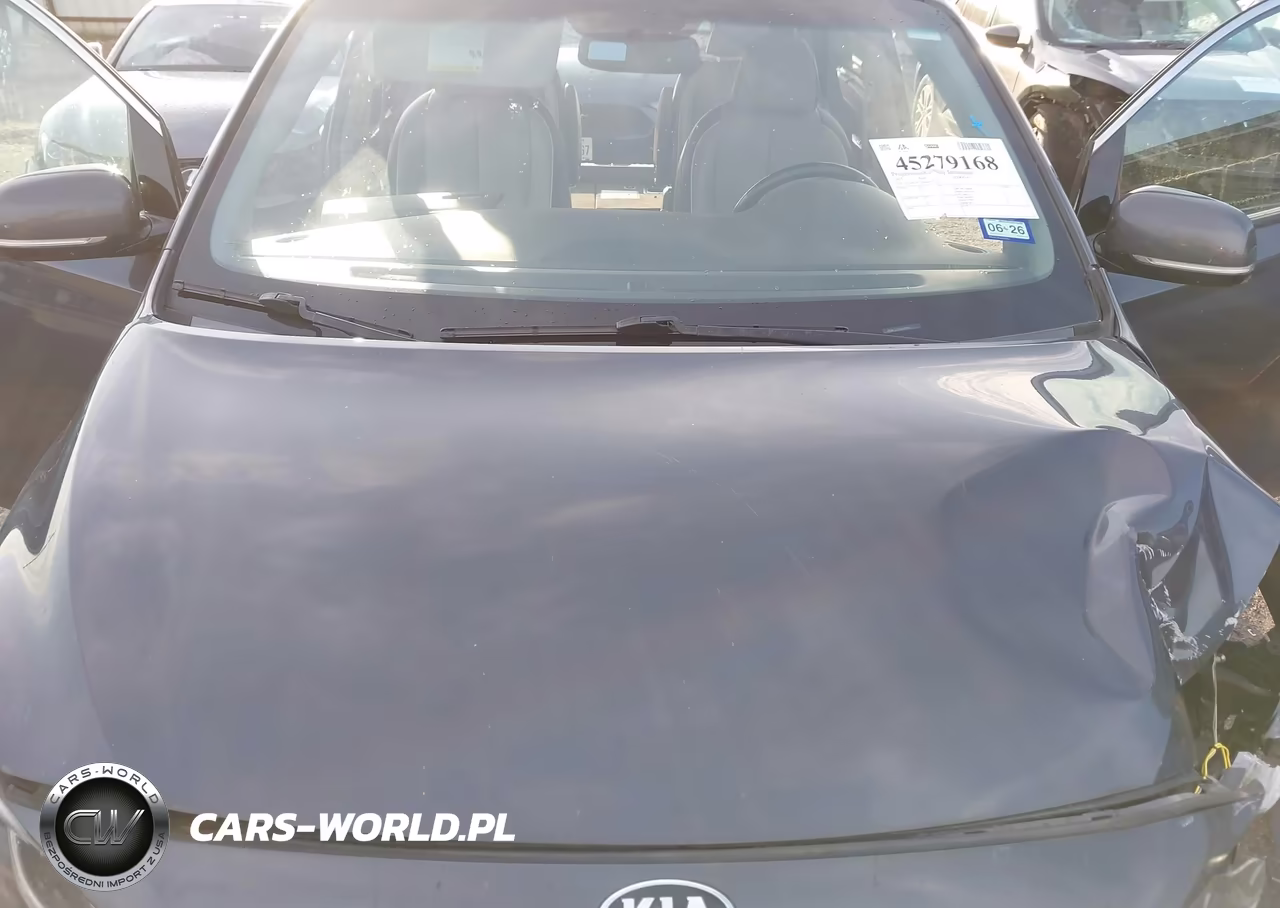 2015 Kia Sedona Sx VIN:KNDMC5C12F6039348 - 10