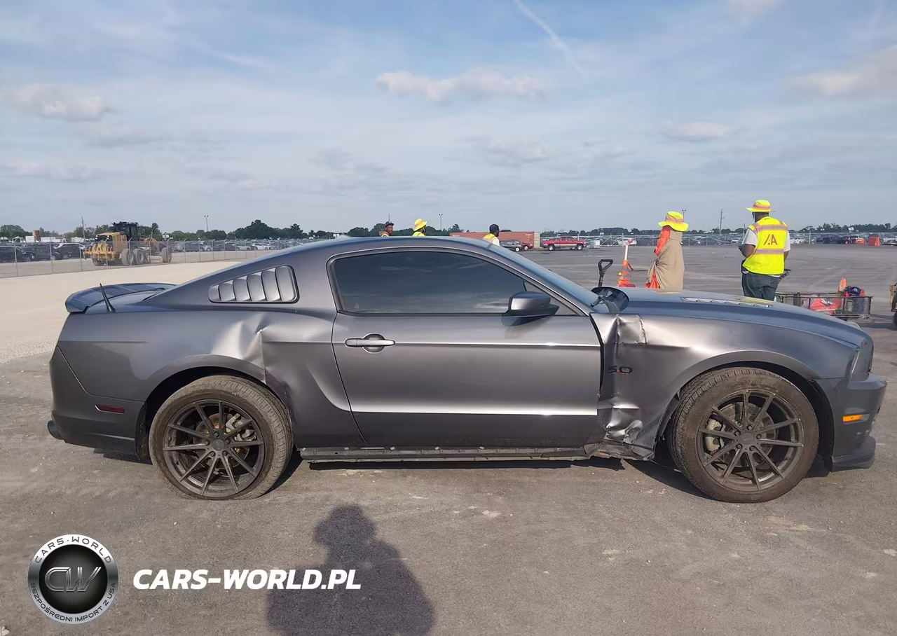 2014 Ford Mustang Gt Premium VIN:1ZVBP8CF8E5252590 - 13