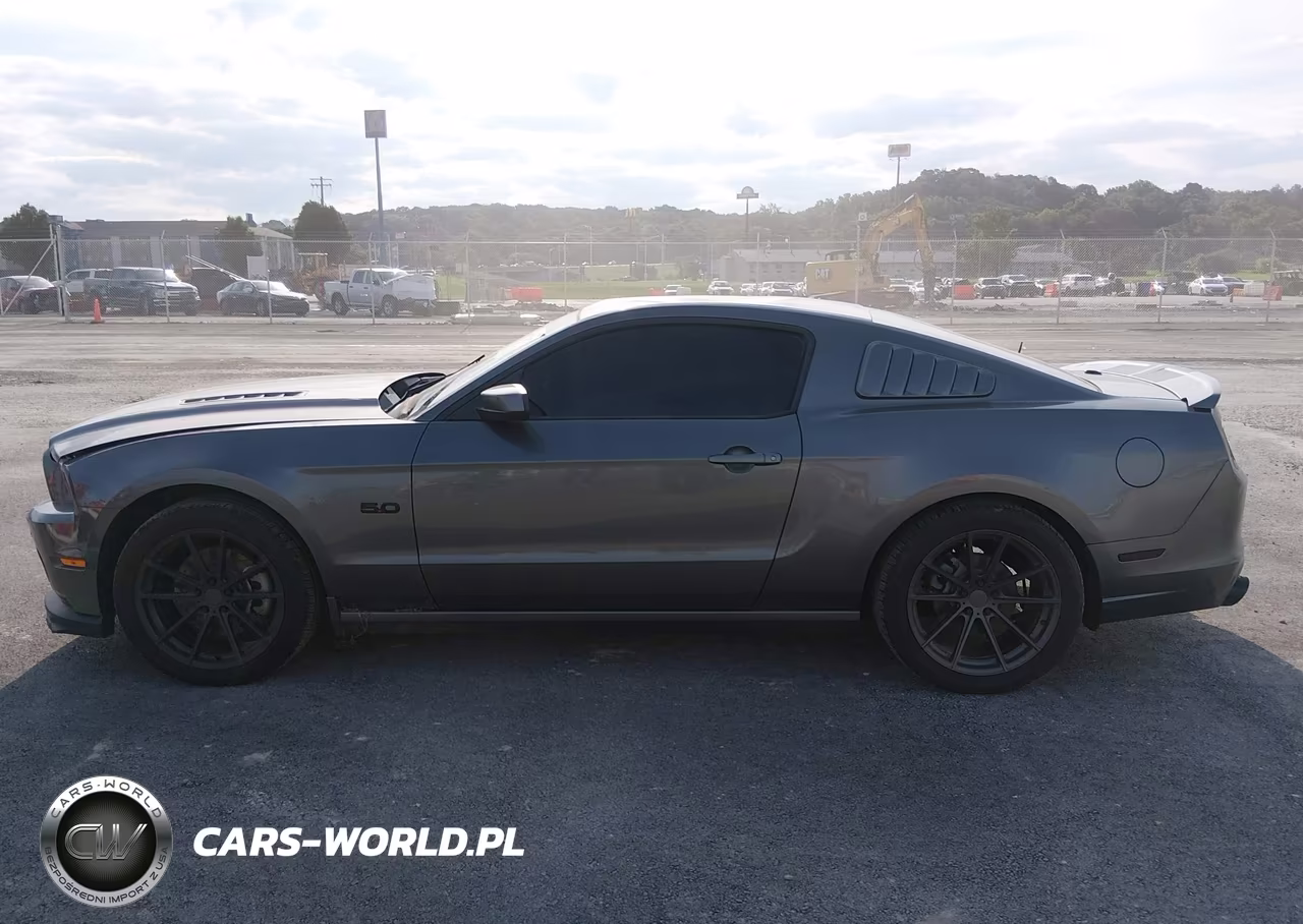 2014 Ford Mustang Gt Premium VIN:1ZVBP8CF8E5252590 - 14