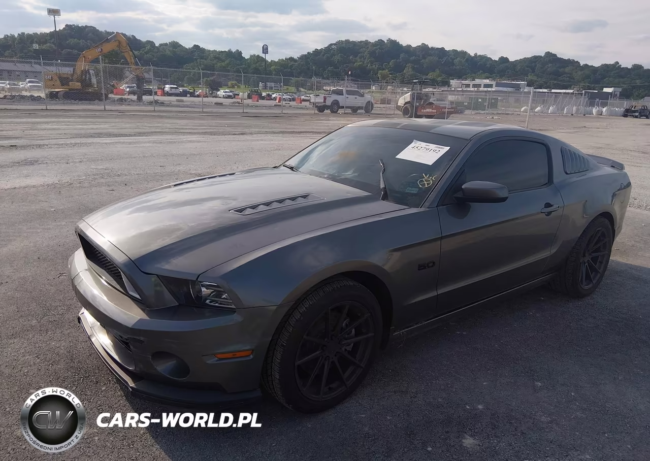 2014 Ford Mustang Gt Premium VIN:1ZVBP8CF8E5252590 - 2