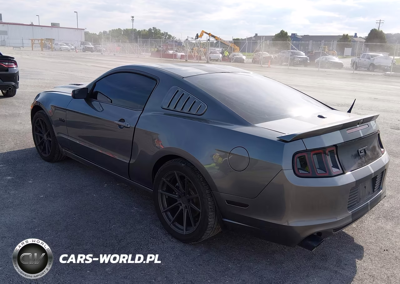 2014 Ford Mustang Gt Premium VIN:1ZVBP8CF8E5252590 - 3
