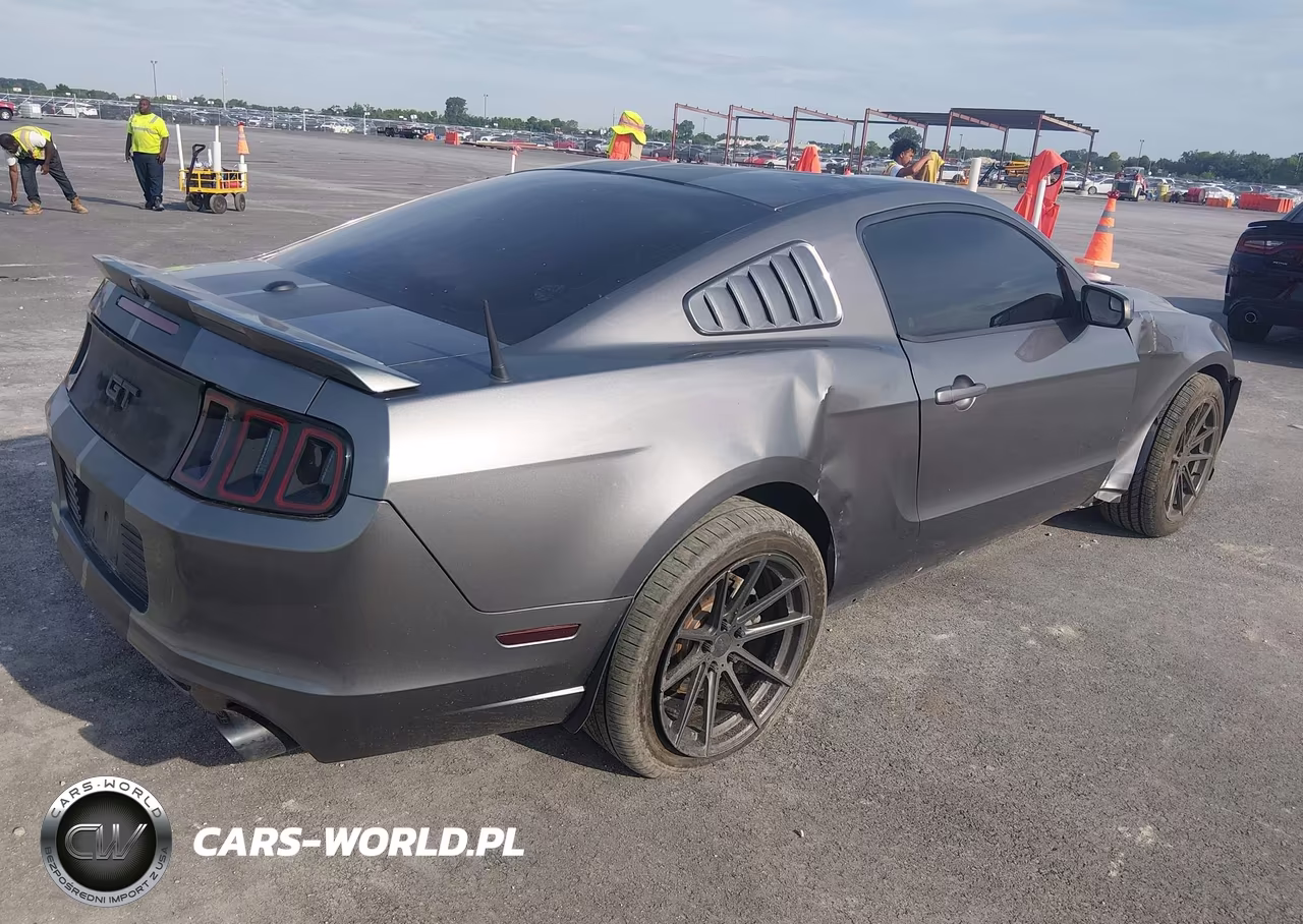 2014 Ford Mustang Gt Premium VIN:1ZVBP8CF8E5252590 - 4
