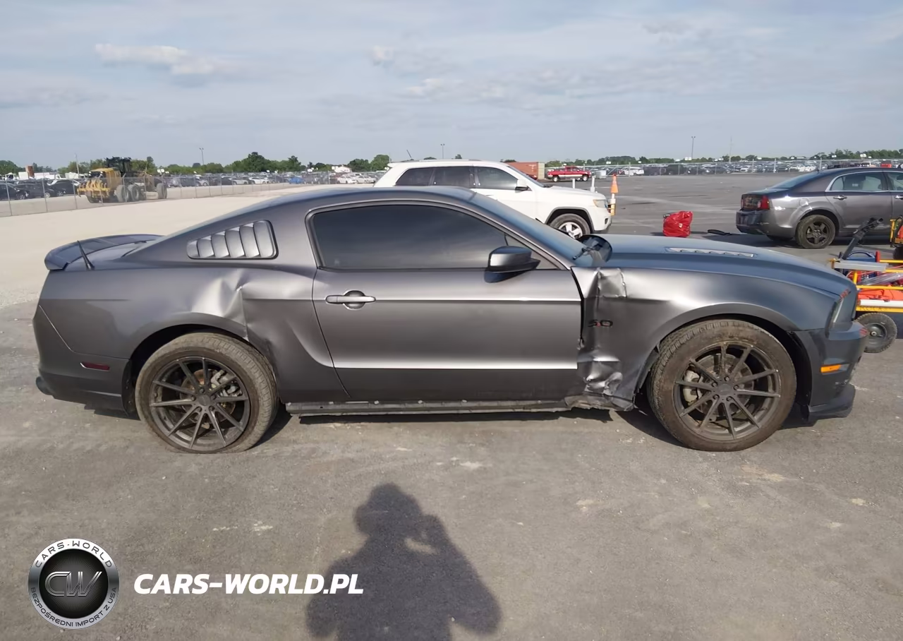 2014 Ford Mustang Gt Premium VIN:1ZVBP8CF8E5252590 - 6