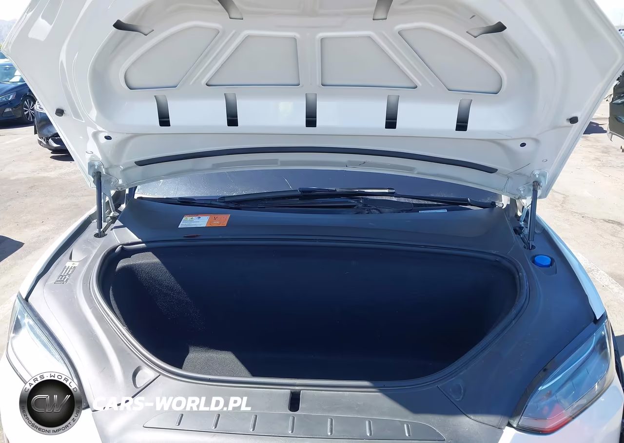 2017 Tesla Model X 100D-75D-90D VIN:5YJXCBE2XHF067391 - 10