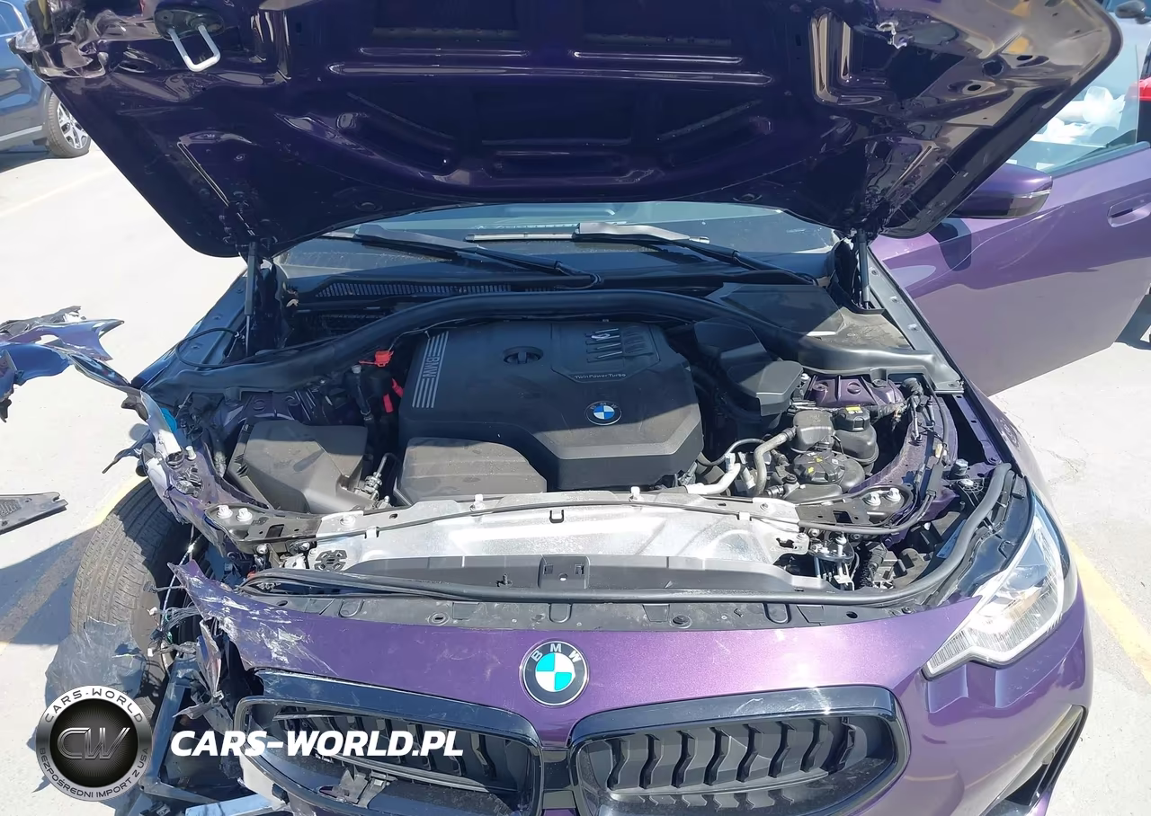 2022 BMW 230 I VIN:3MW23CM02N8C48868 - 10
