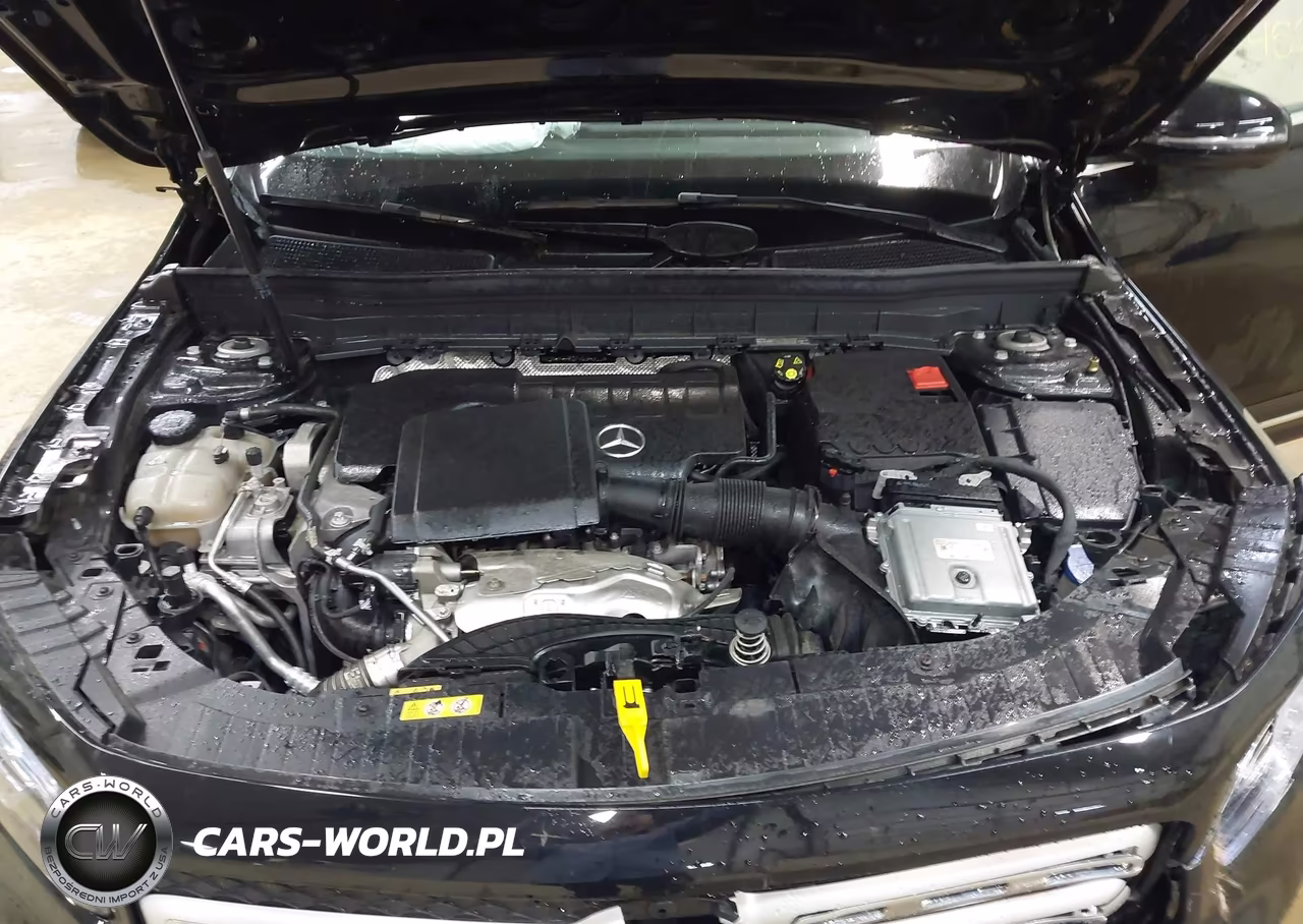 2023 Mercedes-Benz Glb 250 4Matic VIN:W1N4M4HB2PW294911 - 10