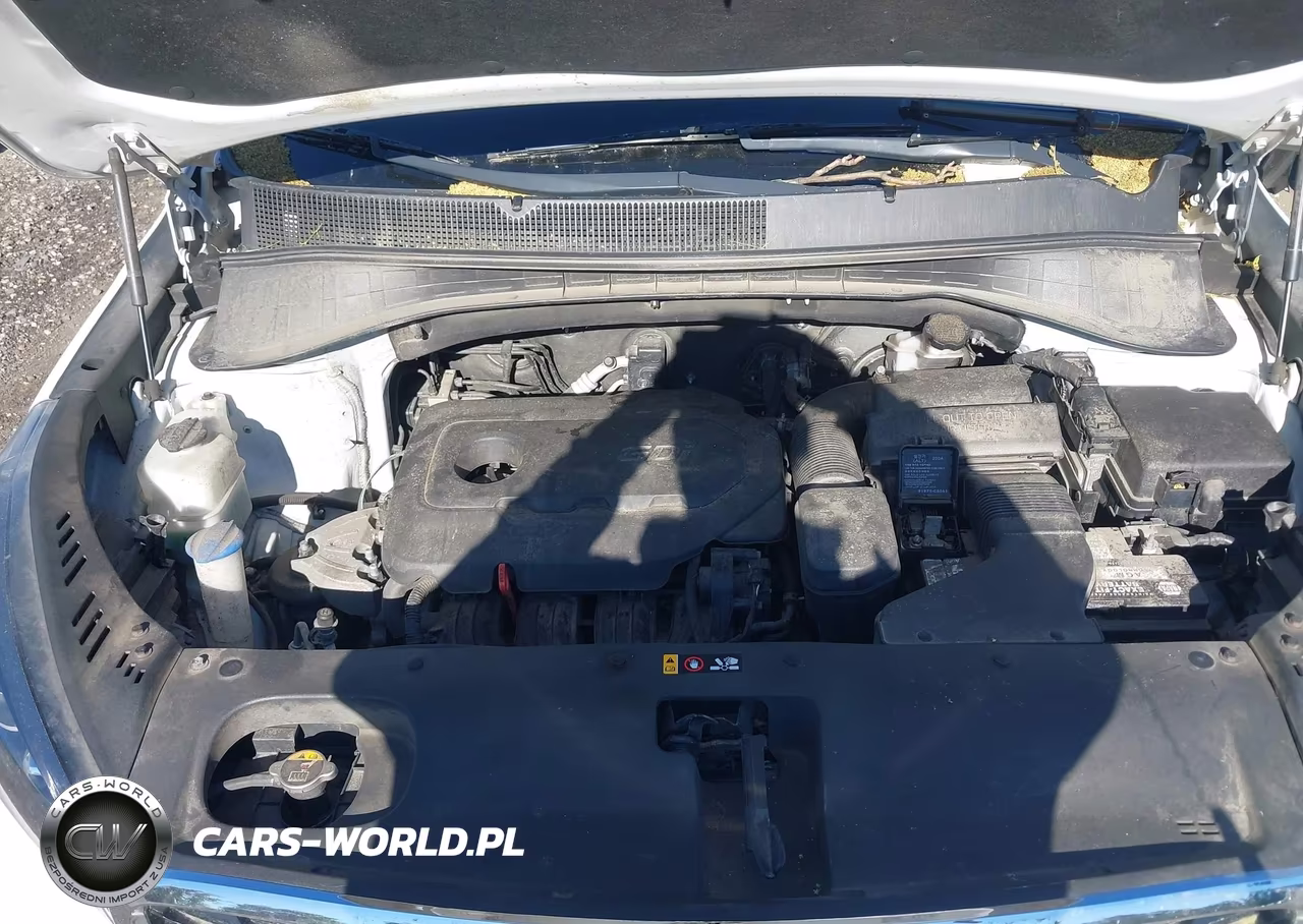 2019 Kia Sorento 2.4L Lx VIN:5XYPGDA39KG536128 - 10