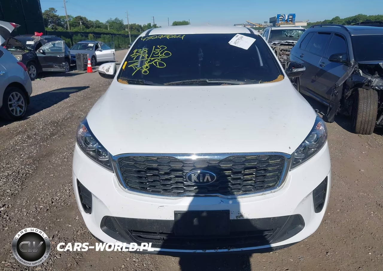 2019 Kia Sorento 2.4L Lx VIN:5XYPGDA39KG536128 - 12