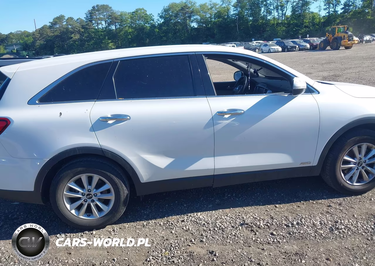 2019 Kia Sorento 2.4L Lx VIN:5XYPGDA39KG536128 - 13