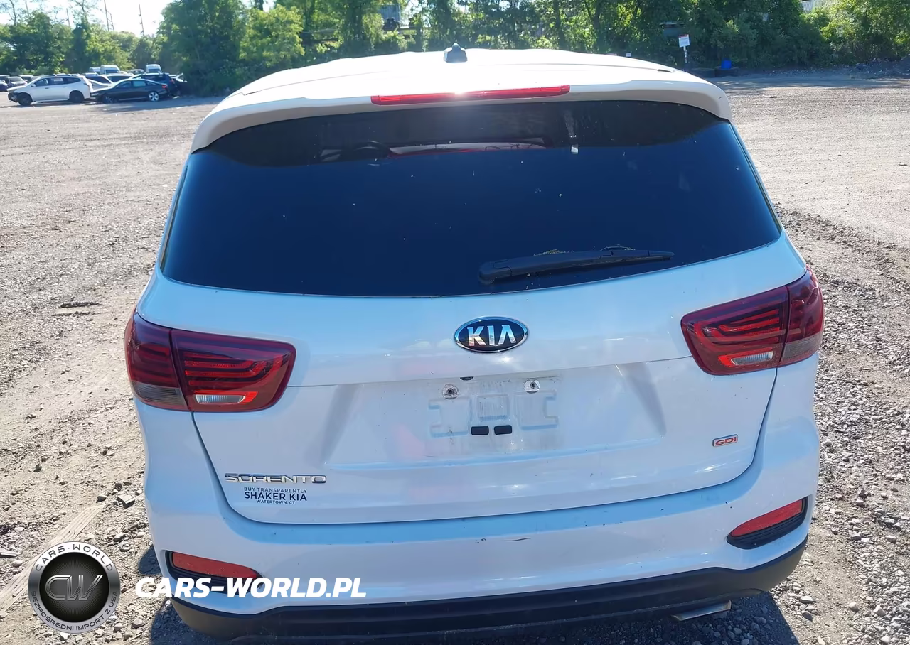 2019 Kia Sorento 2.4L Lx VIN:5XYPGDA39KG536128 - 16