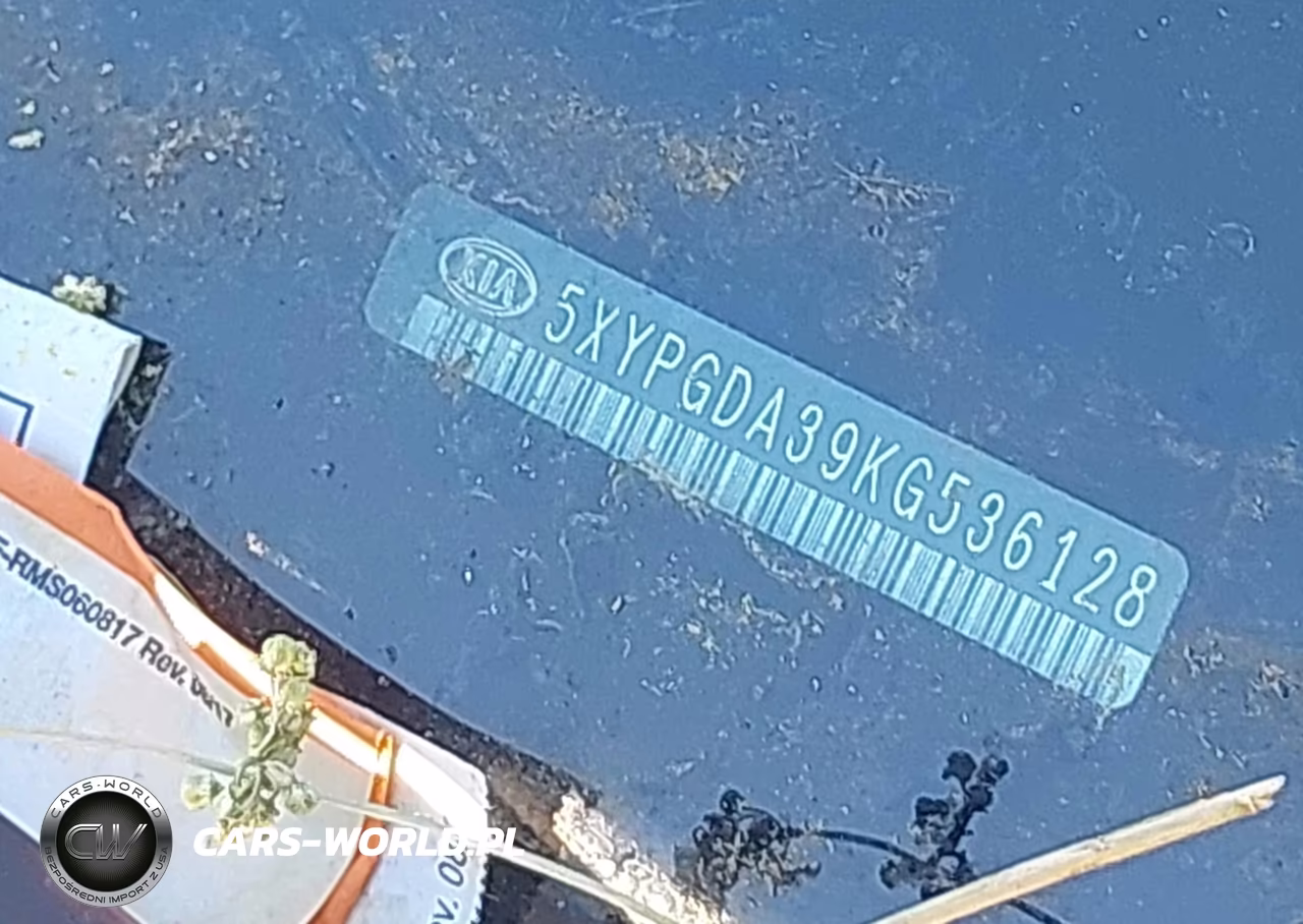 2019 Kia Sorento 2.4L Lx VIN:5XYPGDA39KG536128 - 17