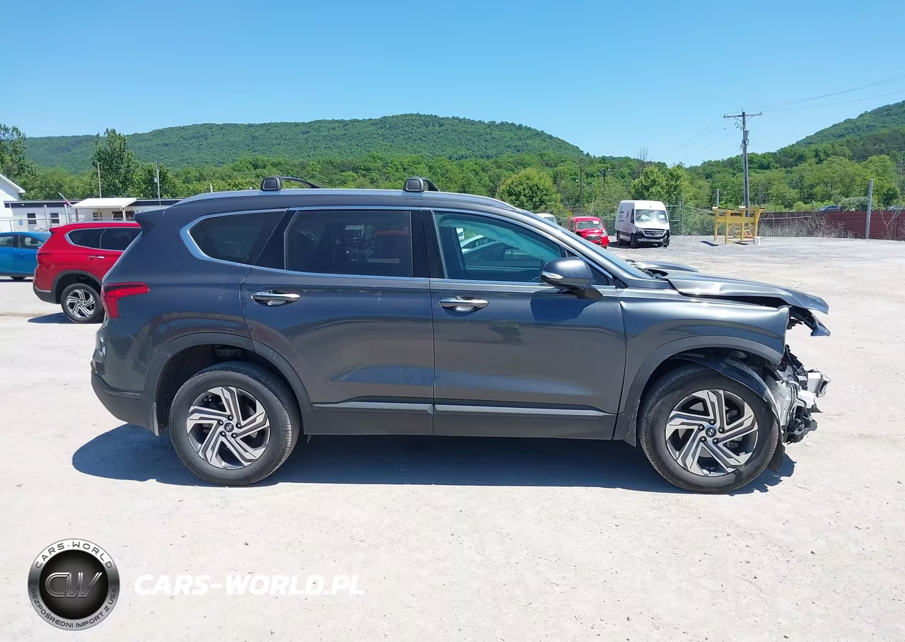 2023 Hyundai Santa Fe Sel VIN:5NMS2DAJXPH600195 - 14