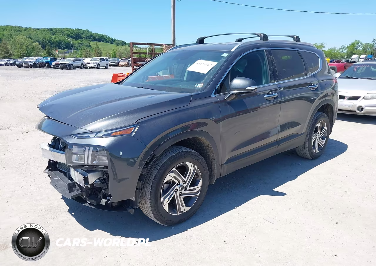 2023 Hyundai Santa Fe Sel VIN:5NMS2DAJXPH600195 - 2