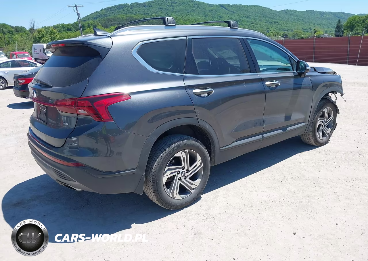 2023 Hyundai Santa Fe Sel VIN:5NMS2DAJXPH600195 - 4