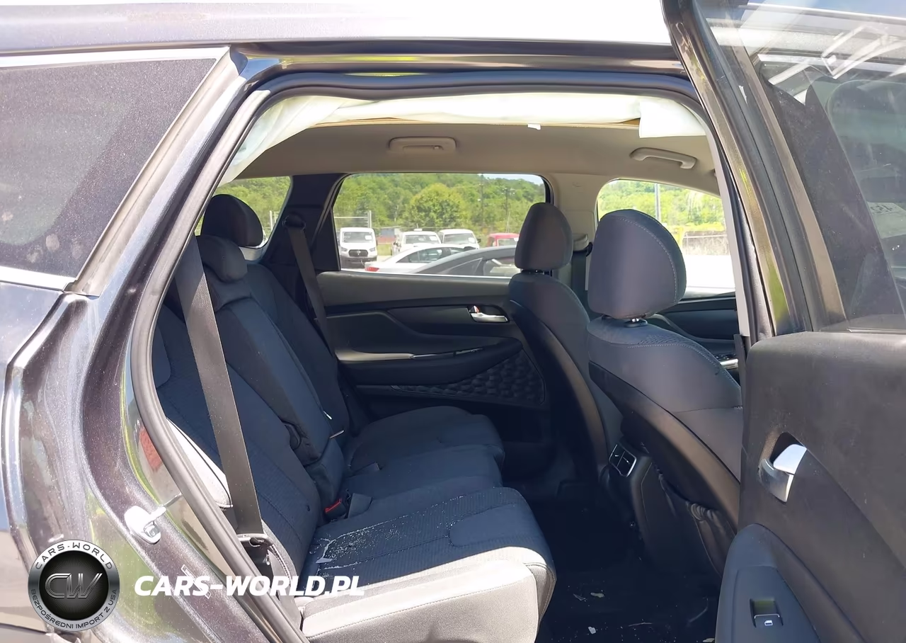 2023 Hyundai Santa Fe Sel VIN:5NMS2DAJXPH600195 - 8