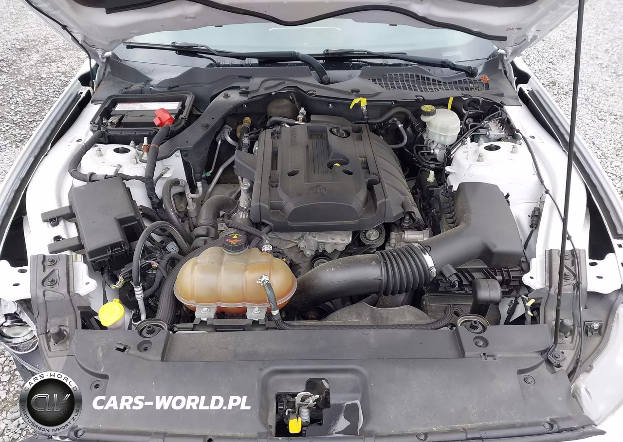 2015 Ford Mustang Ecoboost VIN:1FA6P8TH4F5335866 - 10