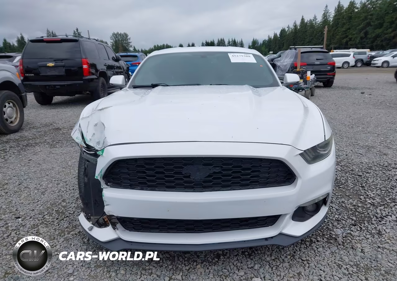 2015 Ford Mustang Ecoboost VIN:1FA6P8TH4F5335866 - 12