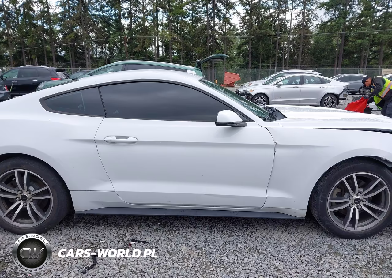 2015 Ford Mustang Ecoboost VIN:1FA6P8TH4F5335866 - 13