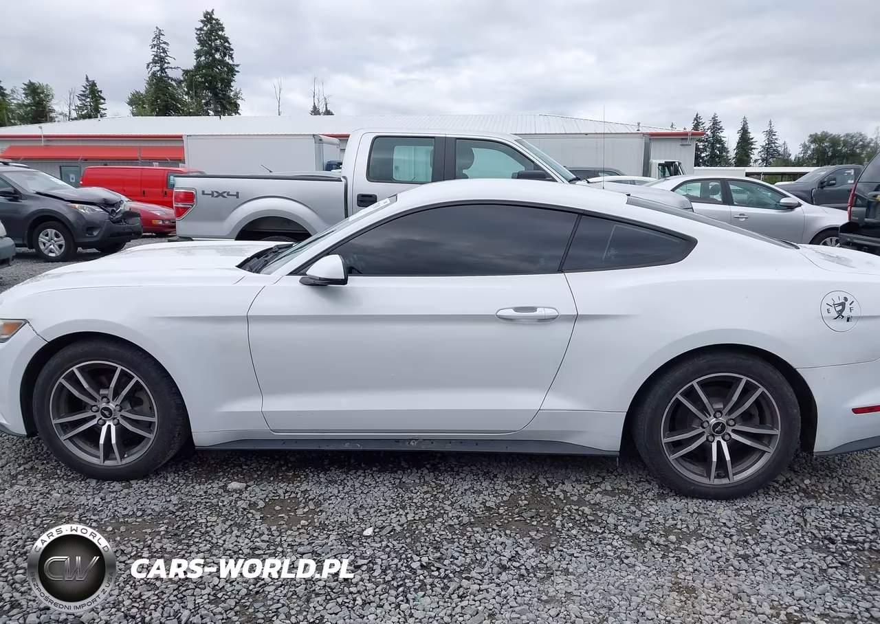 2015 Ford Mustang Ecoboost VIN:1FA6P8TH4F5335866 - 14