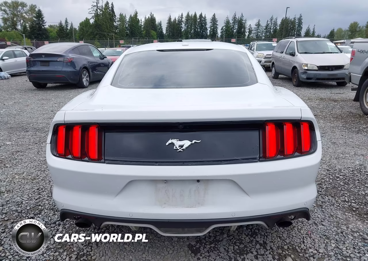 2015 Ford Mustang Ecoboost VIN:1FA6P8TH4F5335866 - 16