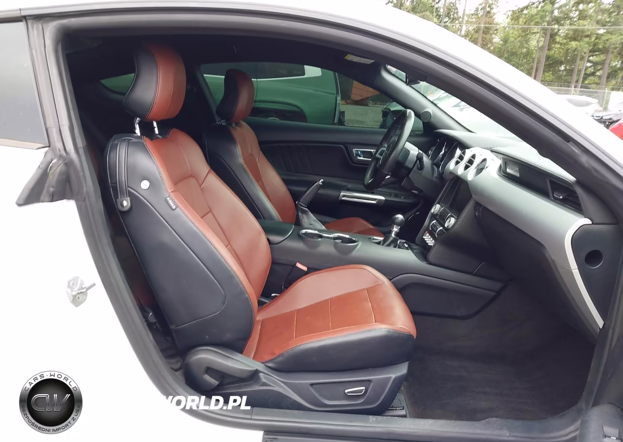 2015 Ford Mustang Ecoboost VIN:1FA6P8TH4F5335866 - 17