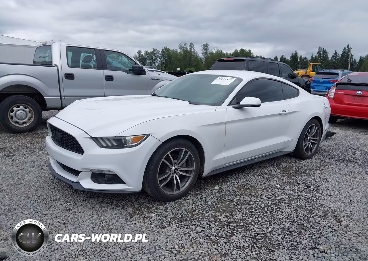 2015 Ford Mustang Ecoboost VIN:1FA6P8TH4F5335866 - 2