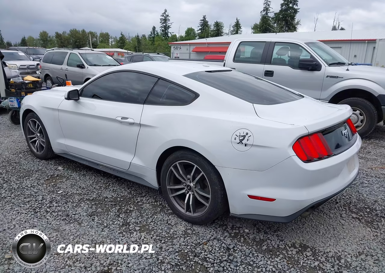 2015 Ford Mustang Ecoboost VIN:1FA6P8TH4F5335866 - 3