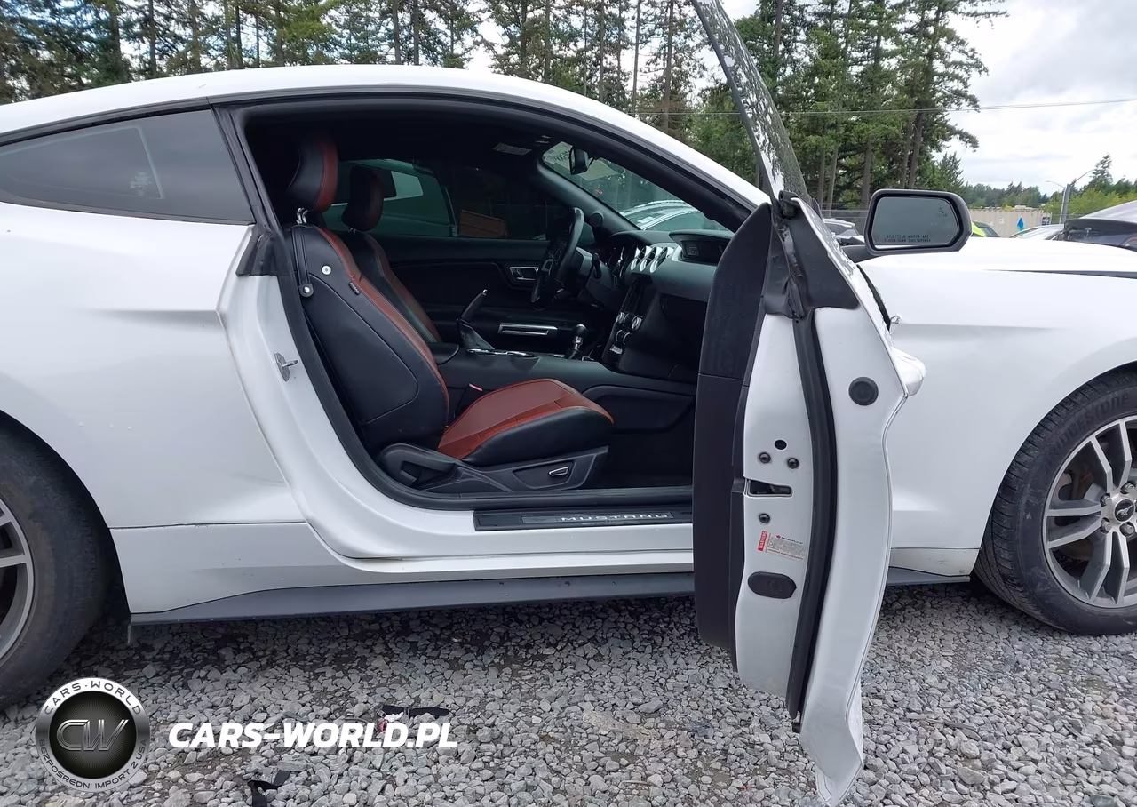 2015 Ford Mustang Ecoboost VIN:1FA6P8TH4F5335866 - 5