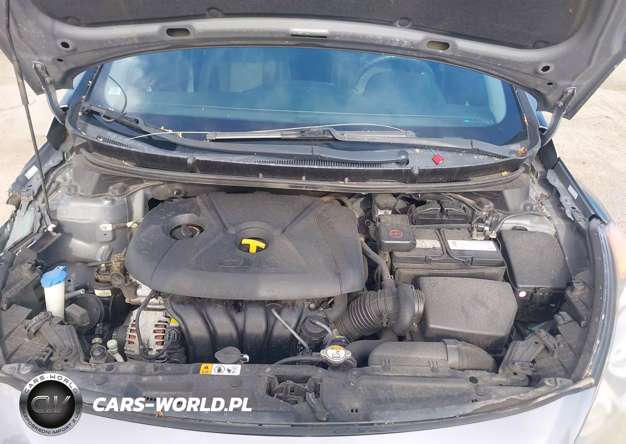 2017 Hyundai Elantra Gt VIN:KMHD35LH0HU369500 - 10