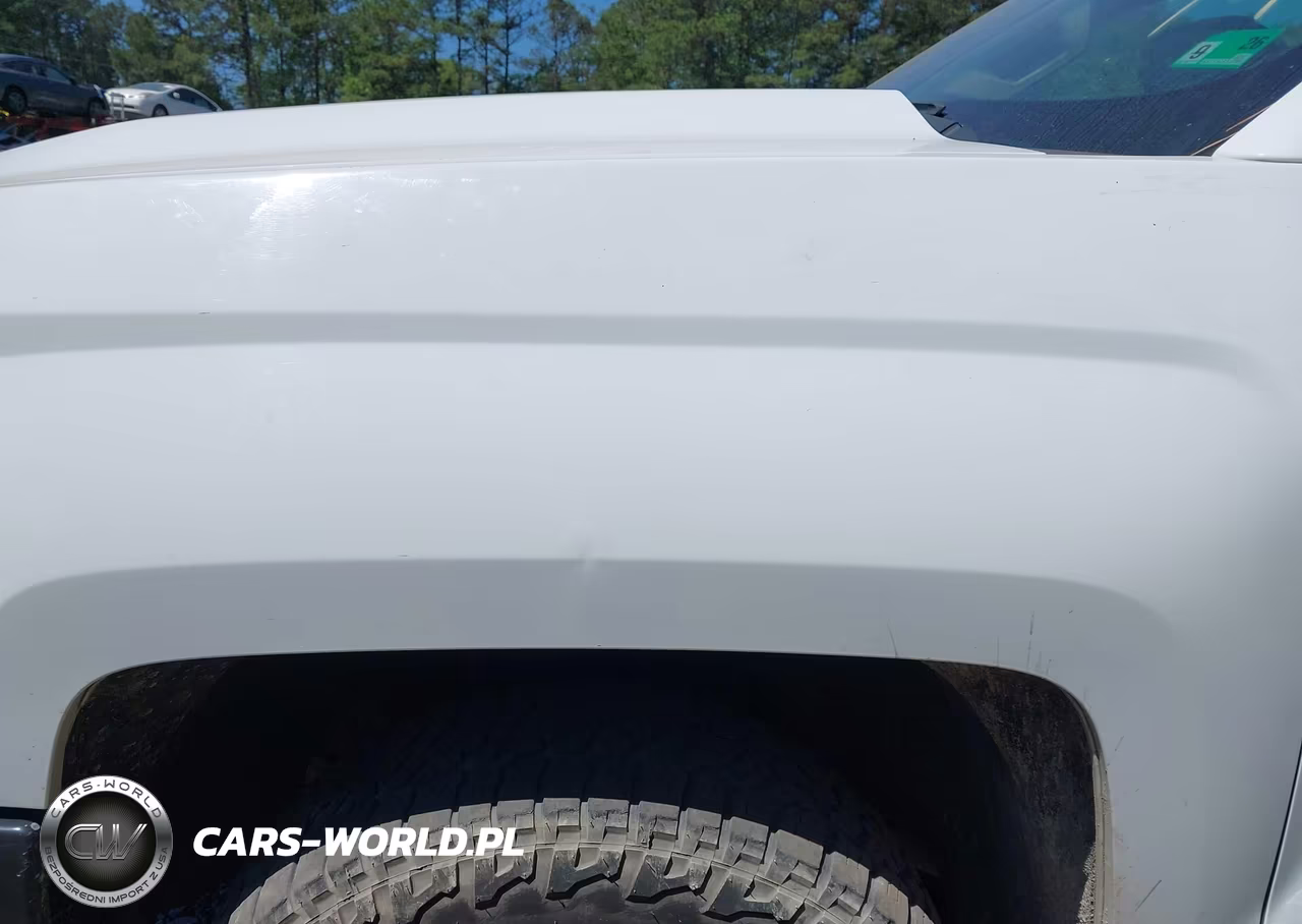 2018 Chevrolet Silverado 1500 Wt VIN:1GCNKNEC7JZ368236 - 19
